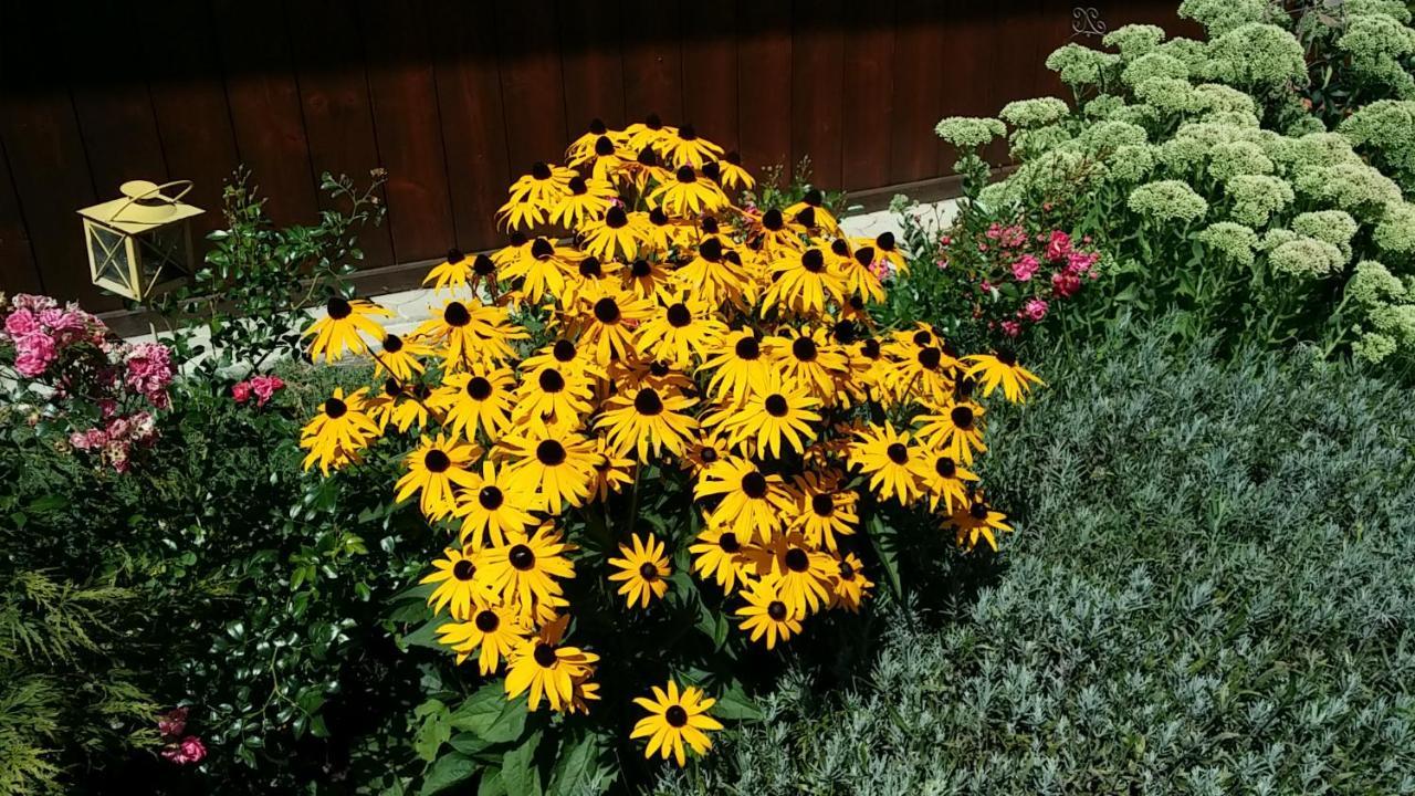 Oranhof
